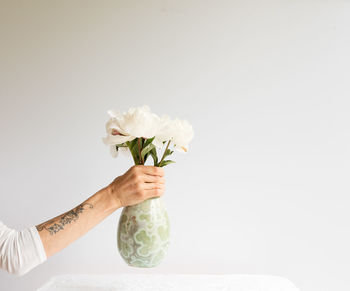 Close-up of hand holding flower against white background