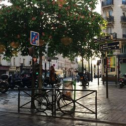 Cars parked in front of building