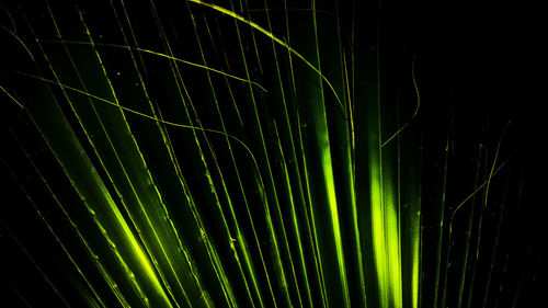 Close-up of dew drops on spider web