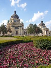 View of flowering plants in front of building