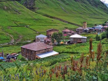 Scenic view of village by houses on field