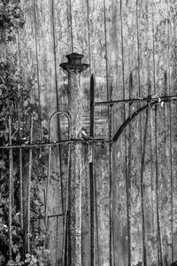 Close-up of old wooden fence in forest