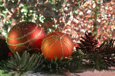 Close-up of christmas tree