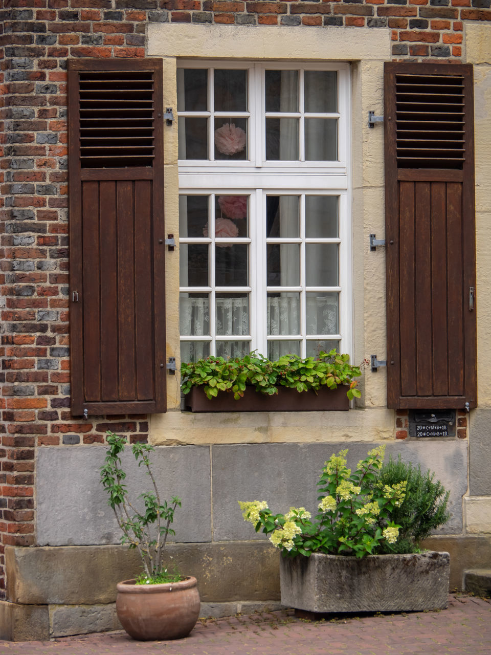 POTTED PLANT AGAINST BUILDING