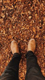 Low section of man standing on dry leaves