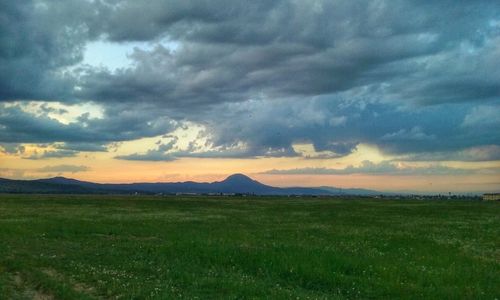 Scenic view of field against sky during sunset