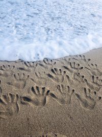 High angle view of footprints on sand at beach