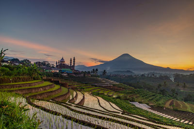 Scenic view of agricultural field against sky during sunset