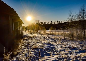 Scenic view of agricultural field against sky during sunset