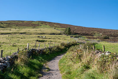 Scenic view of field against clear blue sky