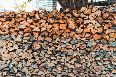 Stack of logs in forest