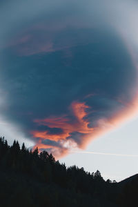 Silhouette trees against sky during sunset