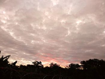 Low angle view of silhouette trees against sky during sunset