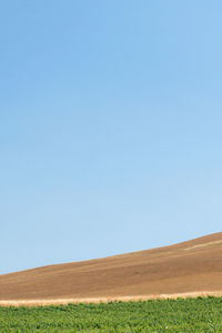 Scenic view of field against clear blue sky