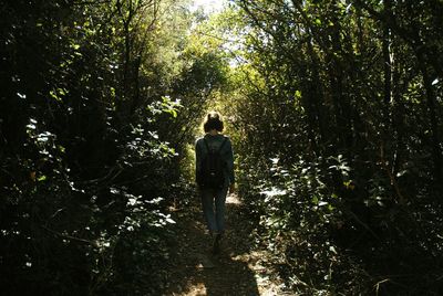 Rear view of man walking in forest