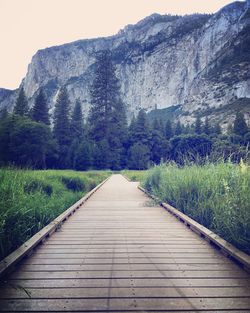 Narrow dirt road along landscape