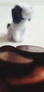 Close-up of black dog in bowl