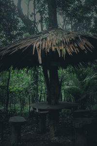 Wooden structure against trees in forest