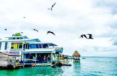 Bird flying over water