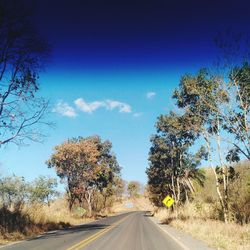 Street amidst trees against blue sky