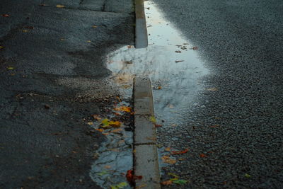 High angle view of wet street during autumn