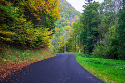 Road amidst trees in forest