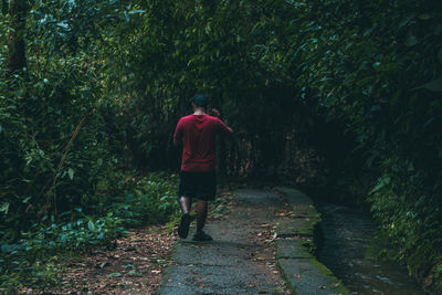 Rear view of man walking on footpath in forest