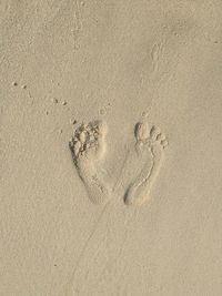 Directly above shot of footprints on sandy beach