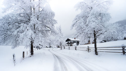 Snow covered road amidst trees against sky