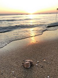 Surface level of sea shore against sunset sky