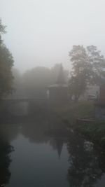 Reflection of trees in lake during foggy weather