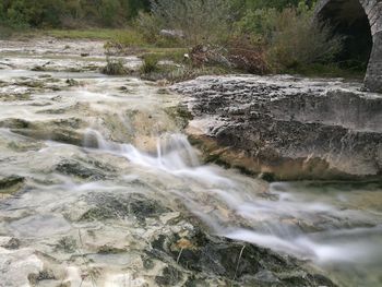 Scenic view of waterfall in forest