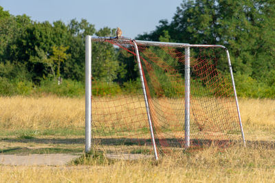 View of soccer field against trees