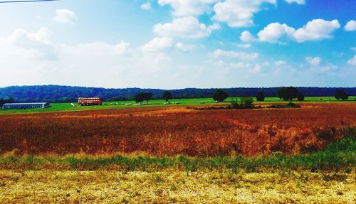 Scenic view of field against sky