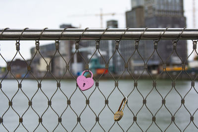 Close-up of padlocks on chainlink fence