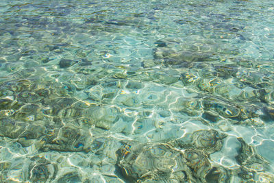 Full frame shot of rippled water