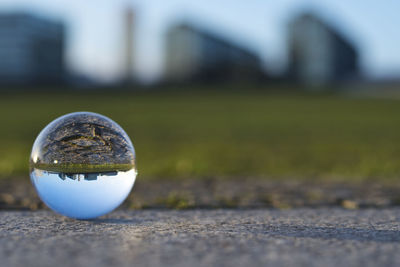 Close-up of crystal ball on the ground