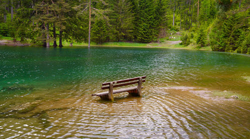 Scenic view of lake in forest
