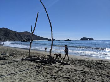 People on beach against clear sky