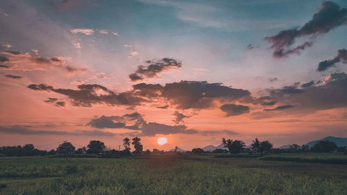 Scenic view of field against sky during sunset