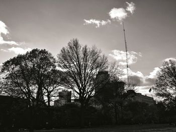 Low angle view of trees against sky