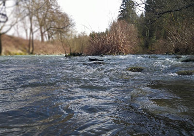 Surface level of river flowing in forest against sky