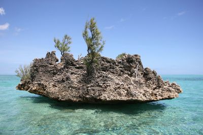 Close-up of sea against sky