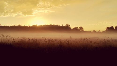 Scenic view of landscape at sunset