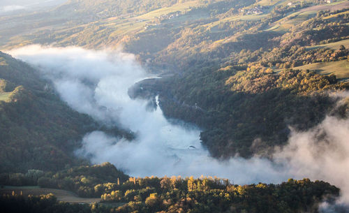 High angle view of trees on land