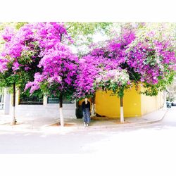 Full length of woman holding flowers