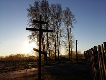 Silhouette of trees at sunset