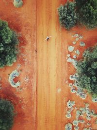 Aerial view of woman standing on dirt road