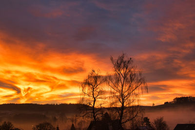 Silhouette bare tree against orange sky