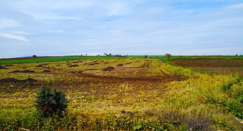 Scenic view of field against sky